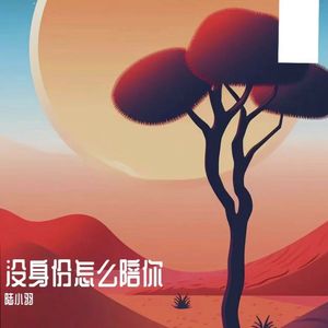 没身份怎么陪你