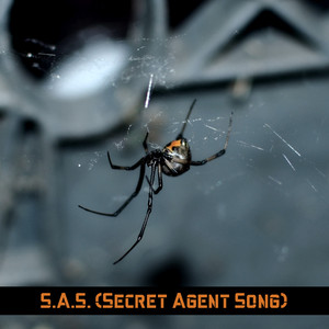S.A.S (Secret Agent Song)