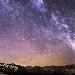 我不想再打扰你啦