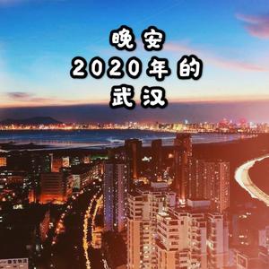 再见2020的武汉原创11