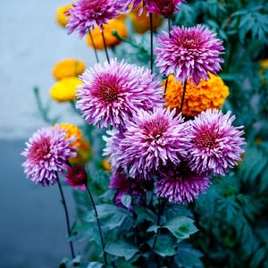 离开的背影（美容院店铺钢琴曲）