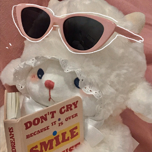 《弯弯河流的静谧之韵》