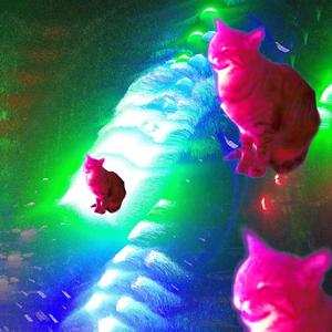 El amor es color rosa