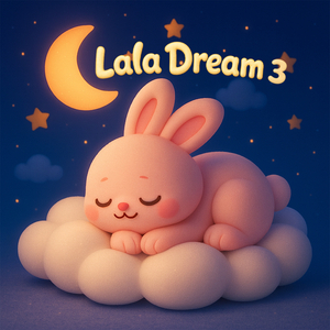 반짝이는 밤바람