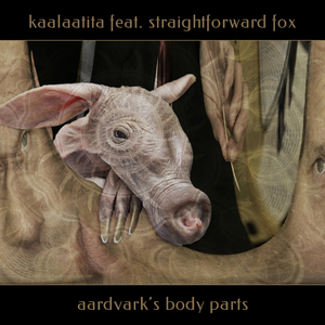 Aardvark's Eye