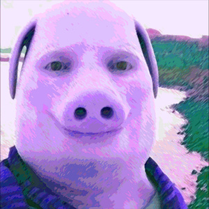 John the pig 私は平和です