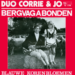 Blauwe Korenbloemen