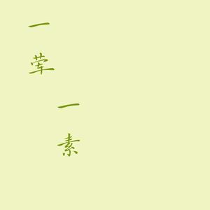 一荤一素（指弹版）