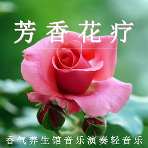 香气养生馆（轻音乐）