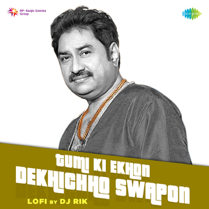 Tumi Ki Ekhon Dekhichho Swapon - LoFi