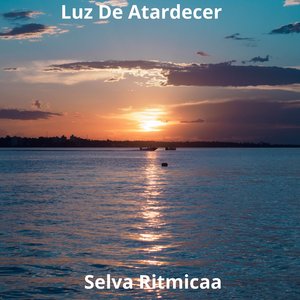 Libro Abierto