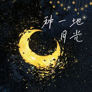 种一地月光