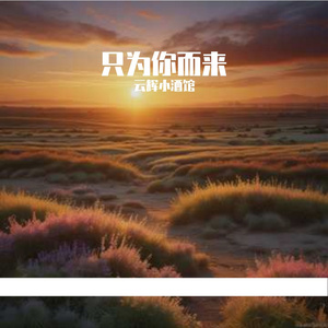 只为你而来