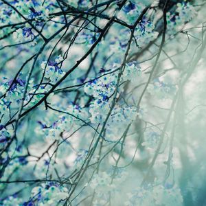 柔和的80年代的心情时刻