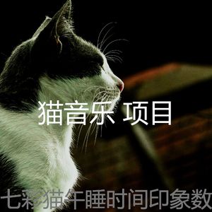 温和小猫梦想