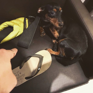 爱要坦荡荡（Cover 丁丁）