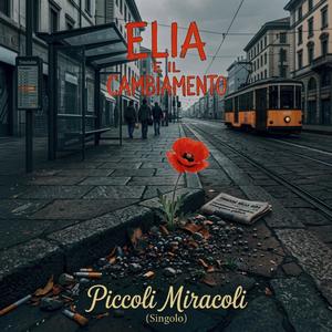 Piccoli Miracoli