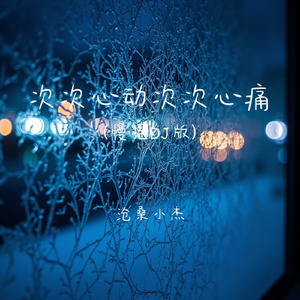 次次心动次次心痛(慢摇DJ版)