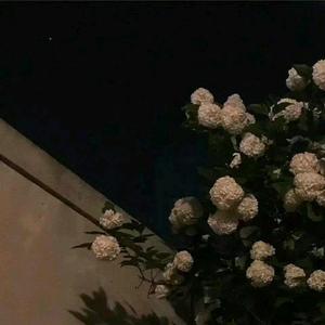 热爱105°C的你（cover阿肆）