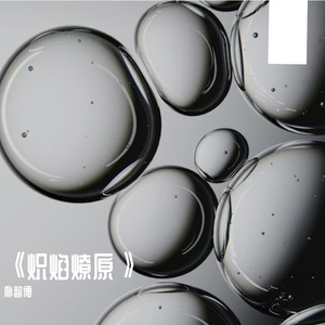 树叶是树的明信片