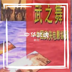 中华武魂