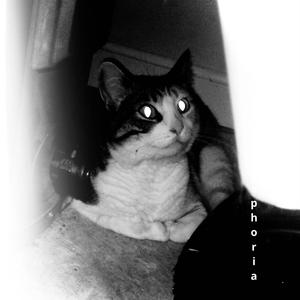 fracture (Album Mix)