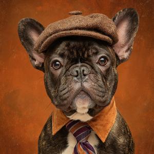 Life on the Flip Side of a Coin