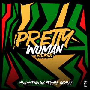 Pretty Woman (Remix)