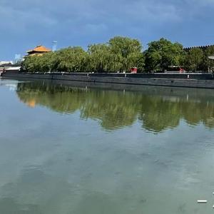 阳光树下