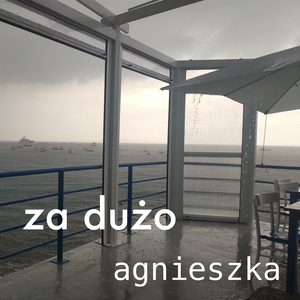 Za dużo (Radio Edit)