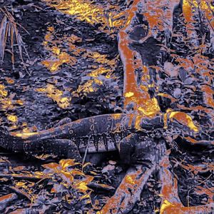 东血西魂Freestyle（East Blood,West Soul Freestyle)