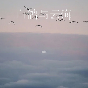 白鸽与云海