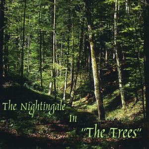 Scarborough Faire (feat. Mathew Greaves)