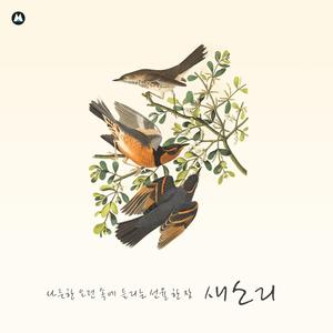 잔잔하게 퍼지는 숨소리