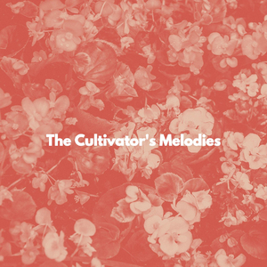 Number One Waltz - Vibe for Magic Moments