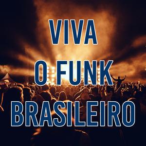 VIVA O FUNK BRASILEIRO