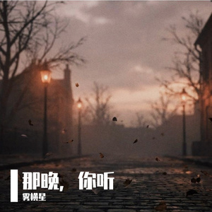 那晚，你听