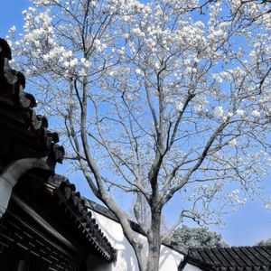 不是首选 不做例外