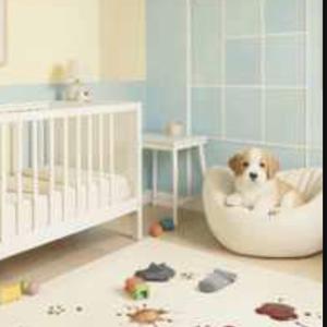 똥강아지 개구쟁이