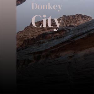 Dreamland Last Night