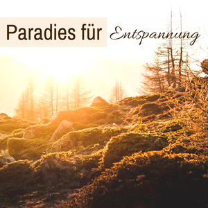 Bewusstsein (Meditationsmusik Guru Lied)