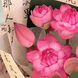 钻石的光芒Prod By Qreo萩