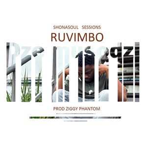 Dzemusodzi