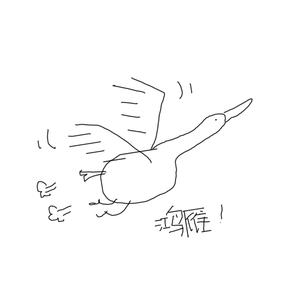 鸿雁（Cover 呼斯楞）