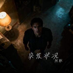 突发状况 (Cover 刘纯)