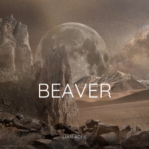 Beaver