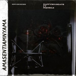 Amasentiamnyama