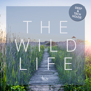 Layback (Mario Aureo Remix)