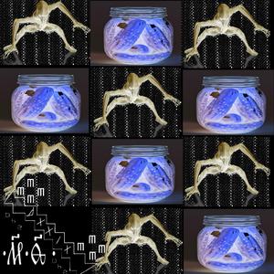 A Pickle For The Knowing Ones (feat. Alien-I-Trust, ArteFactoryPHG & TwoP)