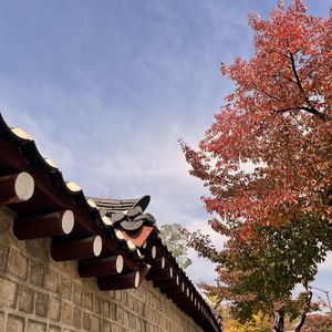 To tell her I love her